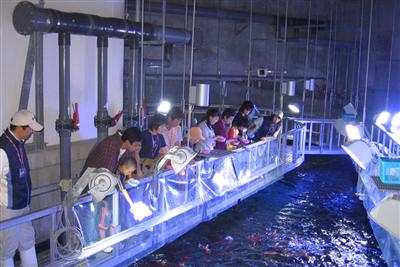 裏話なども聞けるうみたまごの「バックヤードツアー」