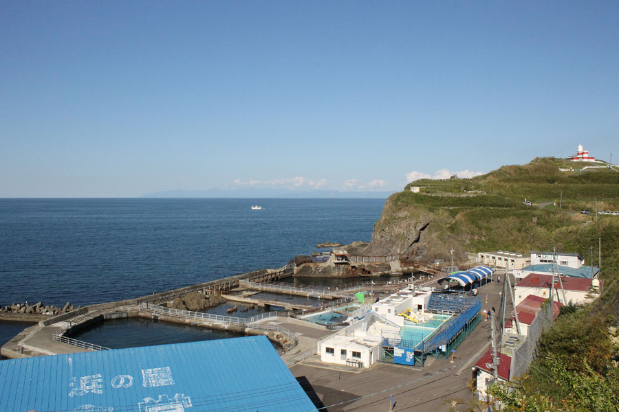 本館の坂の上から望む海獣公園