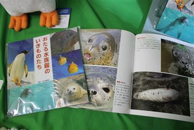 写真集