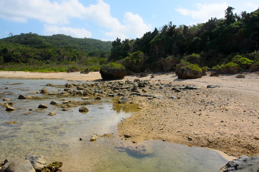 小石ごろごろのワイルドな浜だが、サーファー達の人気スポット 写真:富山 義則 ナブレの浜