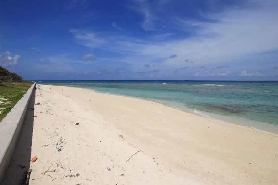 南側の海域ほどサンゴが多く見られる 南側の海域ほどサンゴが多く見られる
