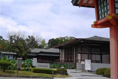 「宝物館」の隣にある初沢池では、夏には美しい原始ハスが咲く