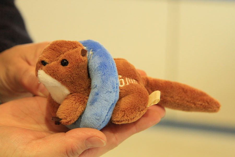 月別12種のキュートなかわうそのぬいぐるみに、カラフルな日付入り浮き輪をセットで