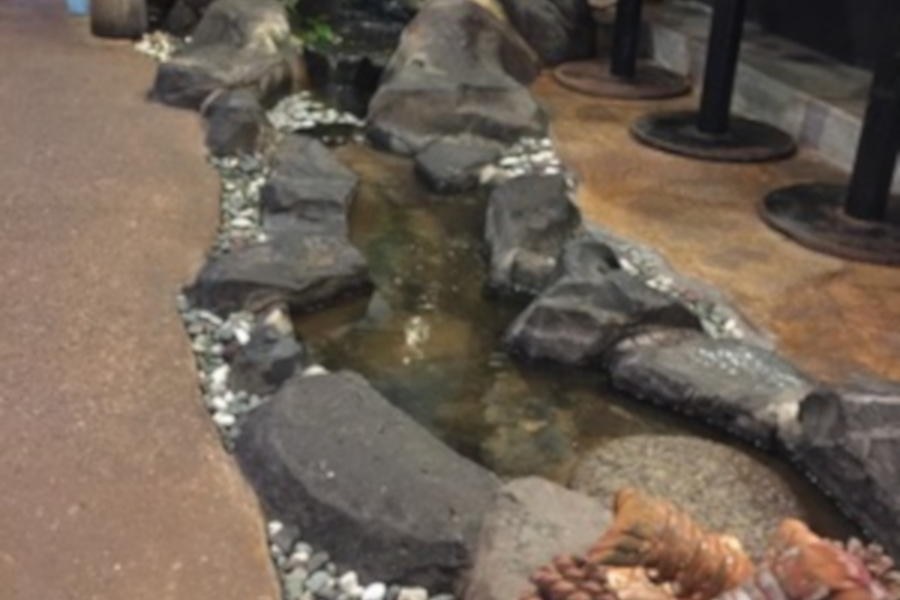 店内に流れる湧き水の小川 店内に流れる湧き水の小川