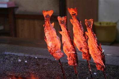 塩焼きや天ぷら、甘露煮など、ヤマメ尽くしのもてなしを