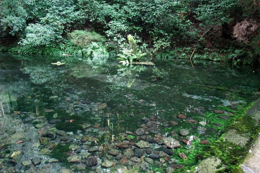 神秘的な池山水源。にぎやかな親水エリアとは対照的な雰囲気 神秘的な池山水源。にぎやかな親水エリアとは対照的な雰囲気