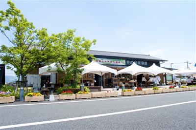道の駅には地元で採れるフルーツや野菜を使ったご当地ソフトも