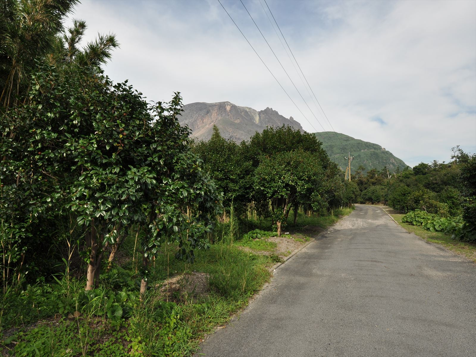 離島は道幅の狭い場所もあるので、スピードの出し過ぎは厳禁 離島は道幅の狭い場所もあるので、スピードの出し過ぎは厳禁