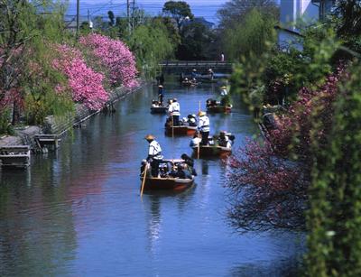 水郷・柳川で川下りを楽しもう