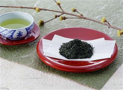 嬉野温泉地一帯は茶の産地としても知られている