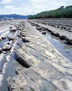 青島海岸に広がる奇岩「鬼の洗濯板」