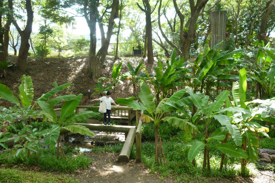 ジャングルのような「芭蕉谷」。すぐ側にはアスレチックもあり、子どもにはいい遊び場 ジャングルのような「芭蕉谷」