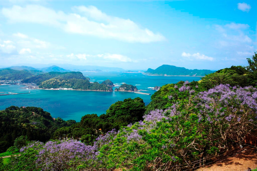 海と空の青、緑とジャカランダの花とのコントラスト 海と空の青、緑とジャカランダの花とのコントラスト
