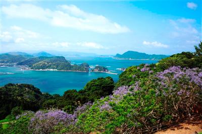 海と空の青、緑とジャカランダの花とのコントラスト