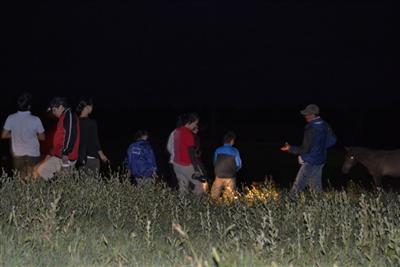 夜の御崎馬の生態を観察するナイトウォーキング