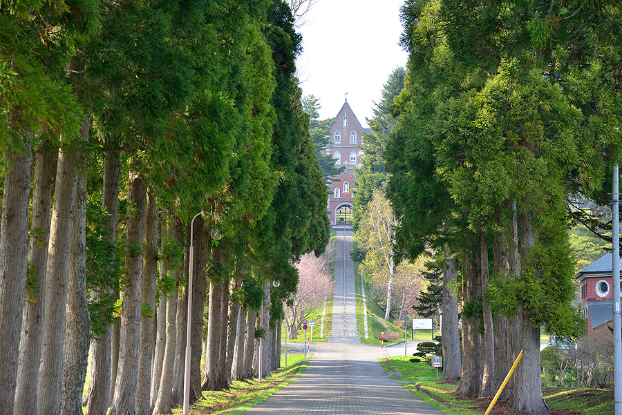 このクッキーは男子修道院「トラピスト修道院」でつくられた醗酵バターを使用している
