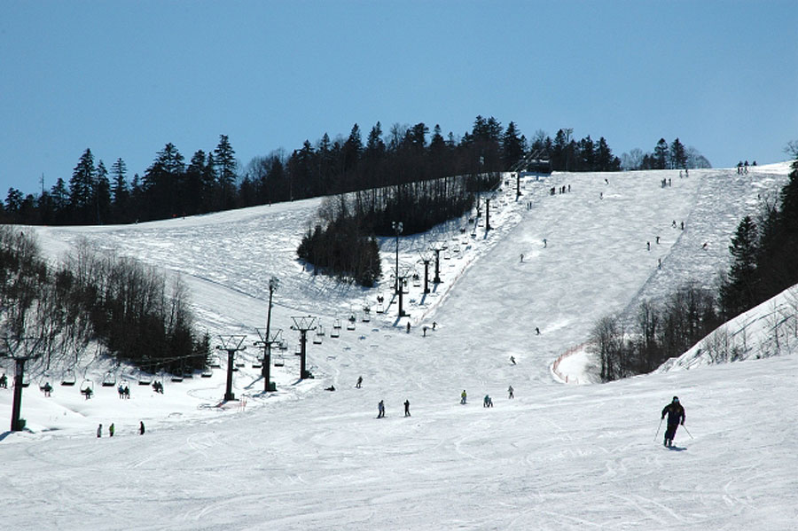 雄大な景色の中、良質なパウダースノーを味わえる