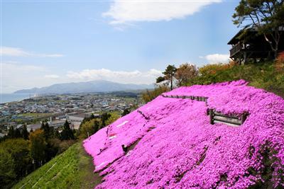 薬師山