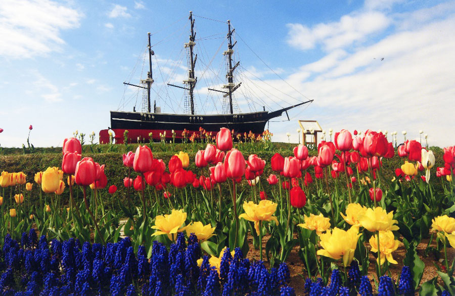 咸臨丸終焉記念碑やモニュメントがチューリップに彩られる サラキ岬チューリップフェア
