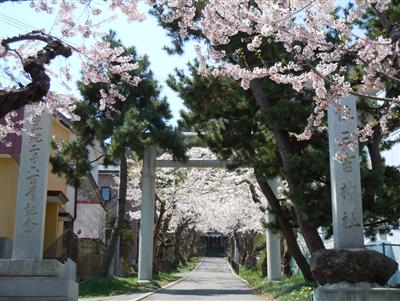 絶景スポットでもある住三吉神社