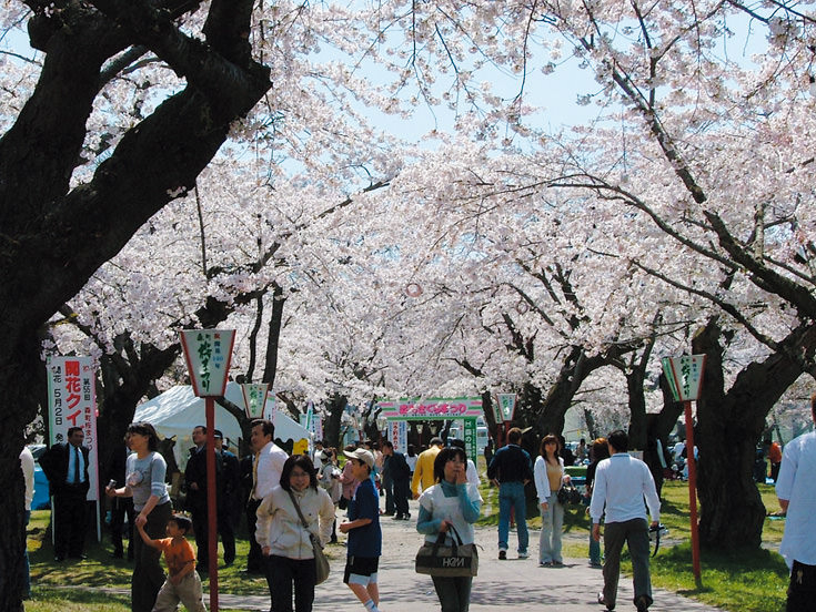 多彩なステージショーや露店で賑わう 多彩なステージショーや露店で賑わう