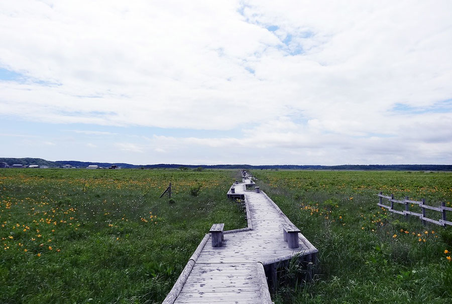 季節ごとに花の種類が変わるので何度訪れても楽しい