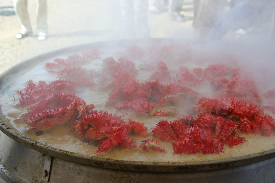 大鍋で茹で上げる花咲ガニは毎年大好評(写真提供:浜中町観光協会)