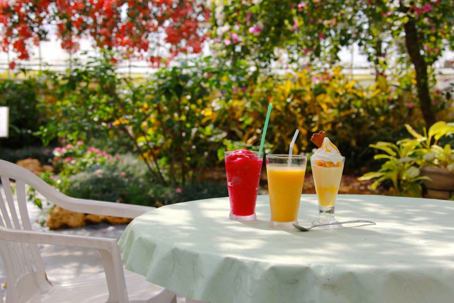 雨でも冬でも1年中トロピカルな雰囲気と味を楽しむことができます 雨でも冬でも1年中トロピカルな雰囲気と味を楽しむことができる