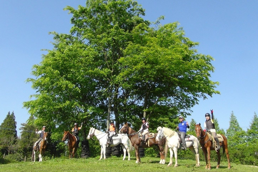 九重高原に位置し、国内最大級の所有地を誇る観光牧場「エルランチョグランデ」 国内最大級の所有地を誇る観光牧場「エルランチョグランデ」