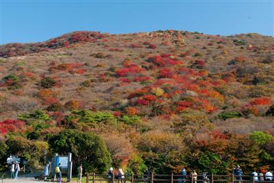 季節によってさまざまな景色を望める「牧の戸峠」