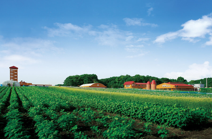 施設内では収穫体験などの体験プログラムもあり