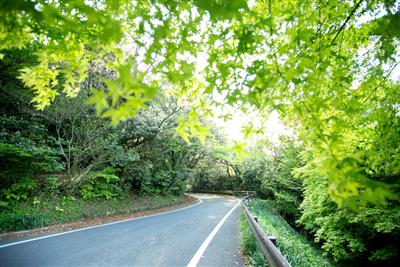 舗装された道路なので、初心でも安心して登れる「皿倉表登山道」