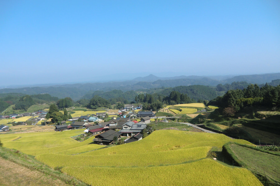 菅迫田(すげさこだ)の棚田/山都町