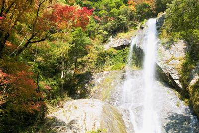 秋の「せんだん轟の滝」は、紅葉と水のコントラストが美しい