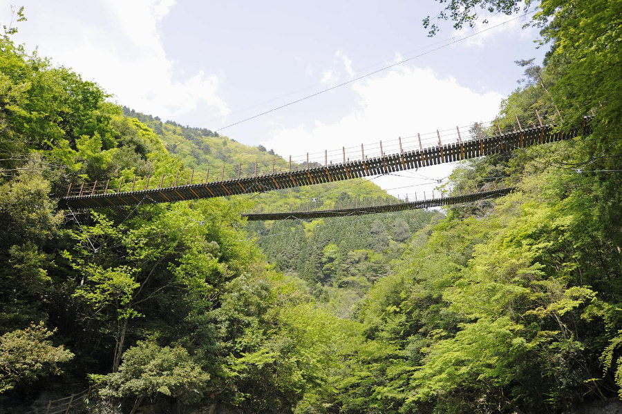二つの吊橋が平行した“親子吊橋”とも呼ばれる「樅木吊橋」 二つの吊橋が平行した“親子吊橋”とも呼ばれる「樅木吊橋」