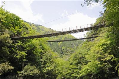 二つの吊橋が平行した“親子吊橋”とも呼ばれる「樅木吊橋」
