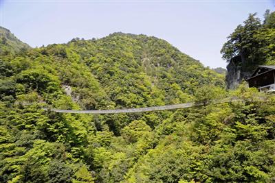 雄大な渓谷にシンプルな吊橋が架かる「梅の木轟公園」