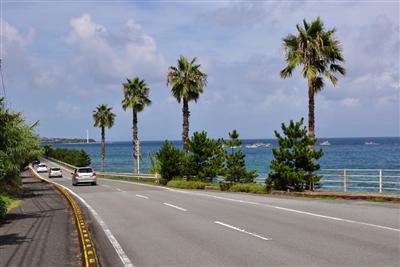 道沿いに青い海が広がるドライブコース「国道324号」