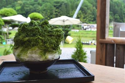 田園風景を眺めながらぜいたくなかき氷を味わえる「蛍茶園」