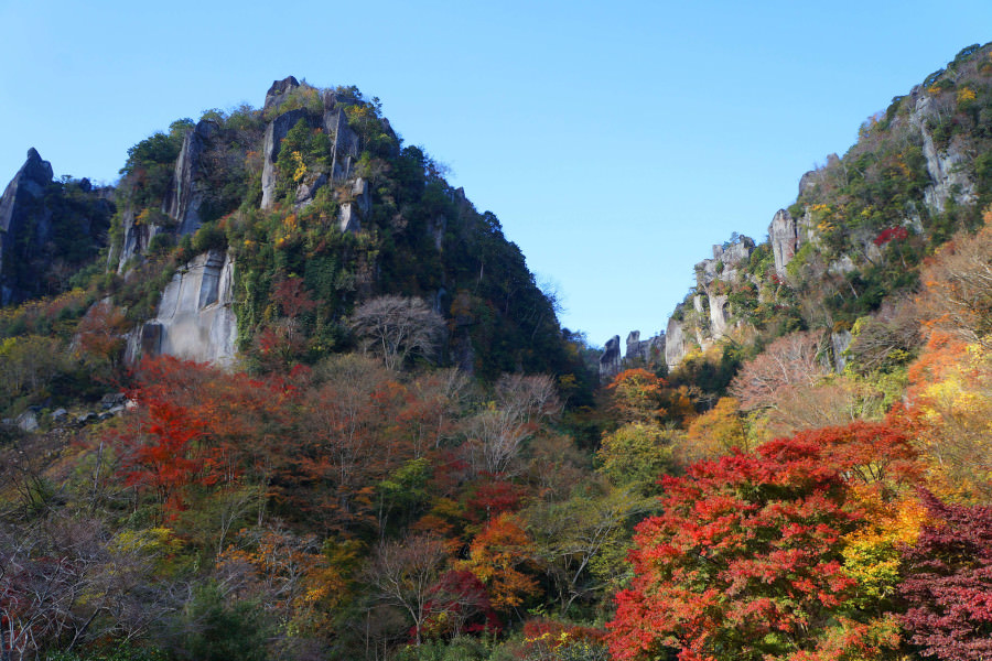 目の前に広がる一目八景