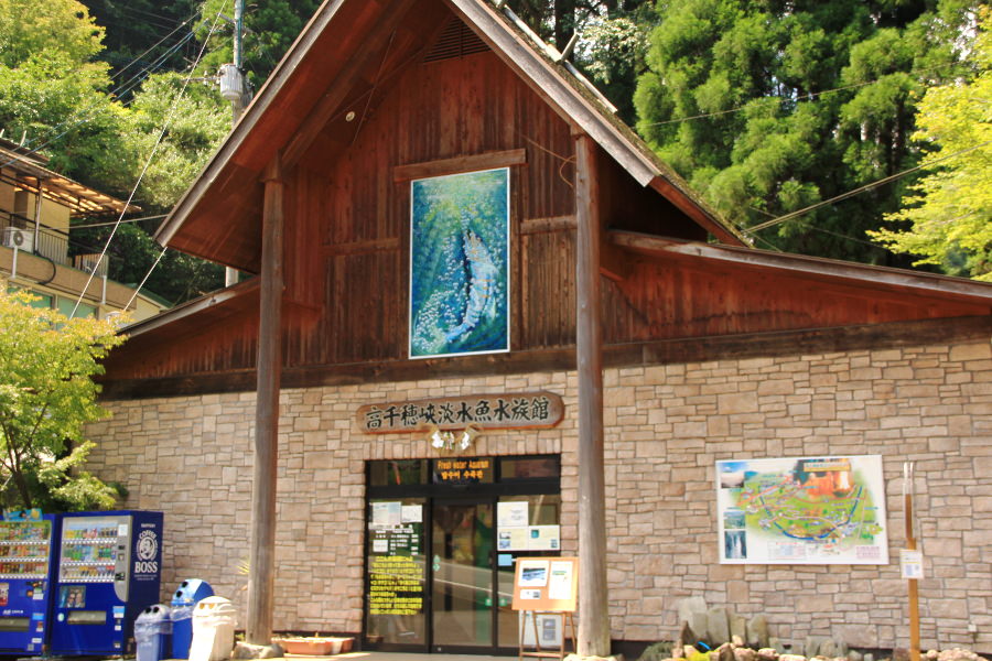 高千穂峡の遊歩道入口にある「高千穂淡水魚水族館」 高千穂峡の遊歩道入口にある「高千穂淡水魚水族館」