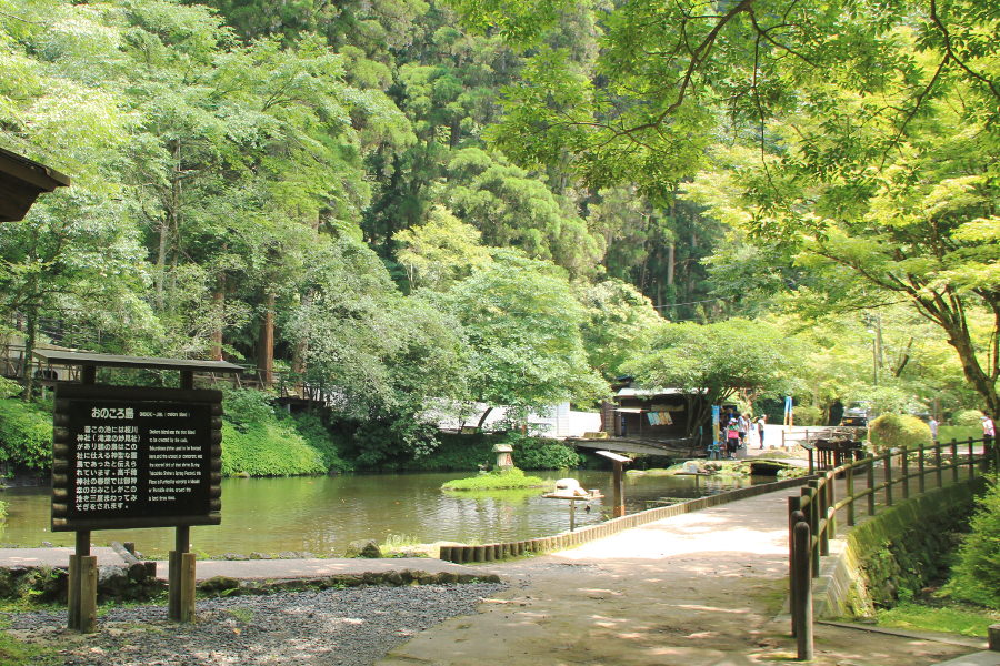 鯉やチョウザメが泳ぐ「おのころ池」。エサは100円で販売 鯉やチョウザメが泳ぐ「おのころ池」。エサは100円で販売