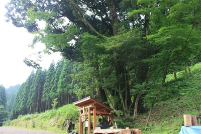 迫力のある大きな御神木に守られた「岩戸坂弁財天」