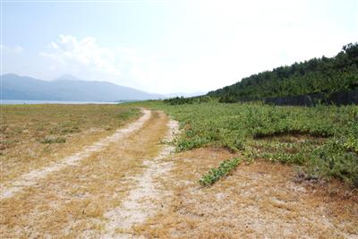 ジャック・マイヨールも愛した浜辺の散歩道