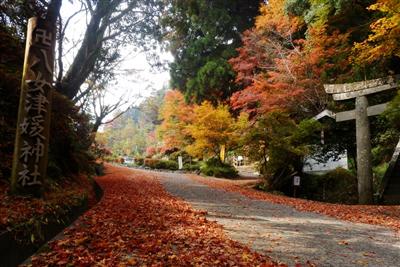 紅いじゅうたんのような風景が広がる「八女津媛神社」の周辺