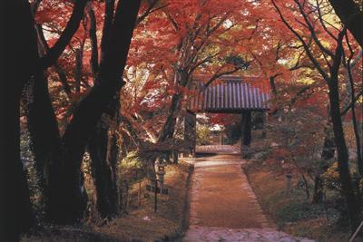 「黒門」の“黒”と紅葉の“赤”のコントラストが見どころ