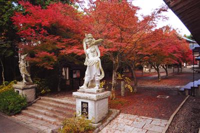 “紅葉の参道”の異名を持つ天王院の参道
