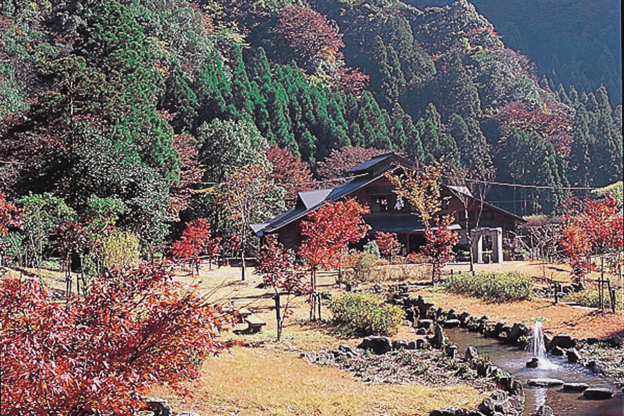 10月下旬から11月中旬に紅葉が見頃を迎える「ことといの里」