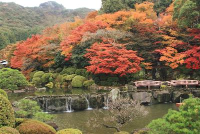 慧洲園では3000坪の敷地が紅葉で染まる