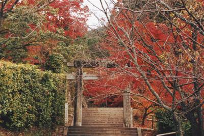 近くにある九年庵とともに紅葉の名所となっている「仁比山神社」
